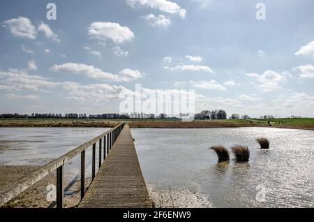 Lange hölzerne Fußgängerbrücke als Teil eines Wanderweges Durch das Naturschutzgebiet Wolvenpolder bei Spijkenissem in den Niederlanden Stockfoto