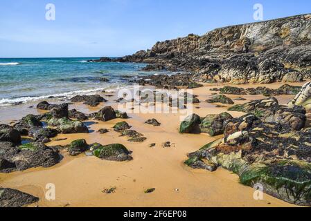 Hochwasser, das Phänomen der Gezeiten im Atlantischen Ozean, einem exponierten Strand vor der Küste Frankreichs. Stockfoto