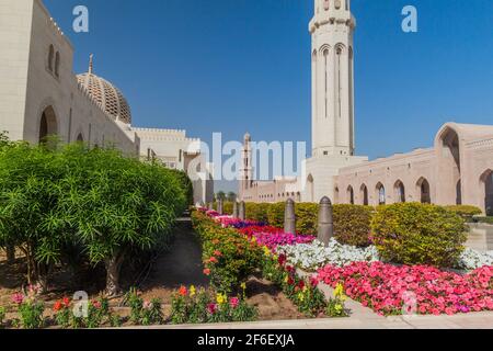 Garten der Großen Moschee von Sultan Qaboos in Maskat, Oman Stockfoto