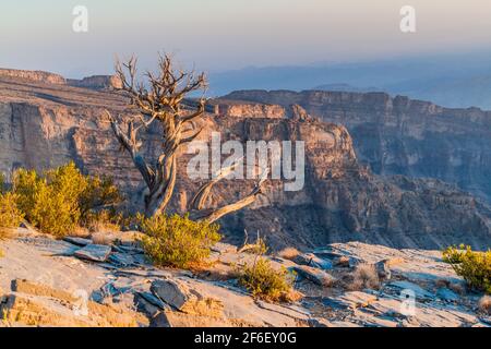 Wadi Ghul Canyon im Hayar Gebirge, Oman Stockfoto