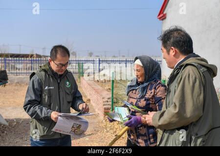 (210331) -- BAICHENG, 31. März 2021 (Xinhua) -- Mitglieder des Zhenlai-Vogelschutzteams der China Wildlife Conservation Association stellen einem Dorfbewohner im Bezirk Zhenlai, Stadt Baicheng, nordöstlich der Provinz Jilin, Wissen über Vogelschutz vor, 31. März 2021. Eine Gruppe von Menschen gehen oft langsam und sprechen mit leiser Stimme am Rande des Feuchtgebiets im Bezirk Zhenlai, wenn das Wetter sich erwärmt. Manchmal nehmen sie ein Fernglas auf, um nach draußen zu schauen, und manchmal beugen sie ihren Kopf, um die geographischen Koordinaten auf ihren Mobiltelefonen aufzuzeichnen. Sie sind Mitglieder von Zhenlai Vogel bewachen Tee Stockfoto