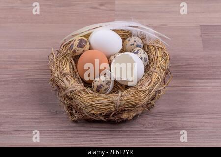 Osternestkorb Deko mit Eierfedern auf Holzhintergrund. Wunderschöne Dekoration am östlichsten mit Wachtelei und Feder für die Feiertagsfeier. Stockfoto