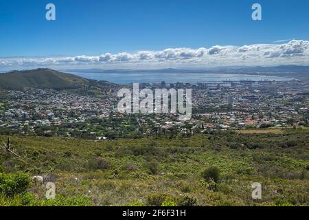 Panoramablick auf Kapstadt, von der Tafelberg Road am Tafelberg aus gesehen Stockfoto