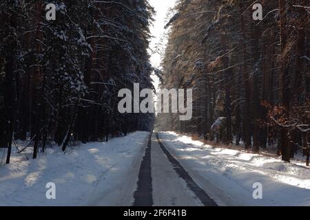 Direkte Winterstraße durch den Kiefernwald Stockfoto