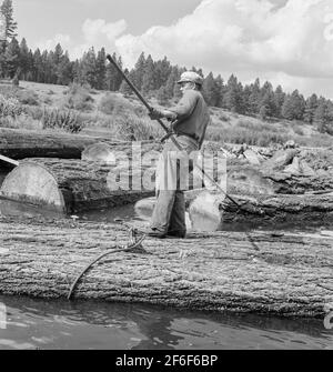 Logger mit dem Spitznamen “ Pond Monkey ' steuert Log Floß in Mühle Teich. Keno, Klamath County, Oregon. Foto von Dorothea lange. Stockfoto