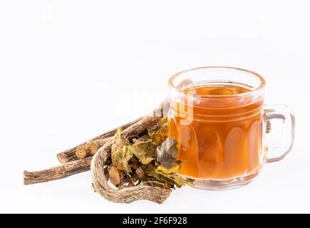 Baldrian Kräuterstegs mit einer Tasse Kräutertee - Valeriana officinalis Stockfoto