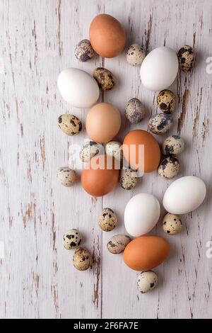 Osterbild mit Wachteln und Hühnereiern auf hellem Holzhintergrund. Das Minimalkonzept von Ostern. Eine Osterkarte mit Platz für den Text. Stockfoto