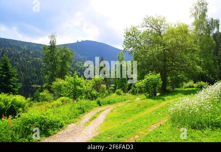 Frühlingslandschaft. Wanderweg am Kleinen Arbersee im Nationalpark Bayerischer Wald, Deutschland. Stockfoto