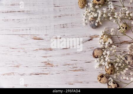 Osterbild mit Wachteleiern und kleinen Blumen auf hellem Holzhintergrund. Das Minimalkonzept von Ostern. Eine Osterkarte mit Platz für den tex Stockfoto
