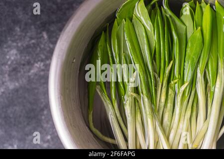 Frisch gepflückte Bärlauch-Blätter zum Waschen in Wasser in einer Metallschüssel, Nahaufnahme, Draufsicht. Gesunde Blätter von grünem wildem Lauch Stockfoto