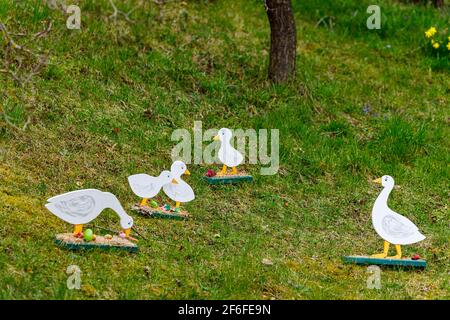 Ente beim traditionellen osterhasen von Herleshausen in Hessen Stockfoto