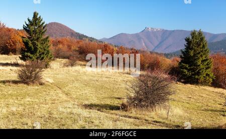 Herbstliche Ansicht des Berges Klak, Mala Fatra aus Strazovske vrchy, Slowakei Stockfoto