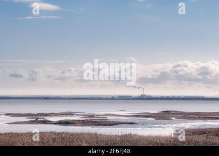 Pegwell Bay Nature Reserve, Cliffsend, Kent, Thanet, Großbritannien. Mit Blick auf den Kent Science Park ursprünglich Pfizer. Stockfoto