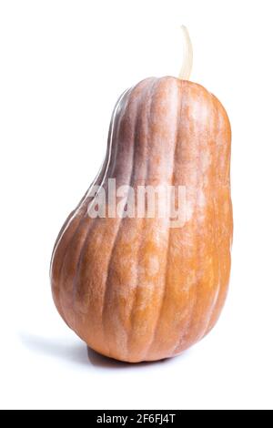 Süßer und großer orangefarbener Kürbis isoliert auf weißem Hintergrund, Nahaufnahme. Stockfoto