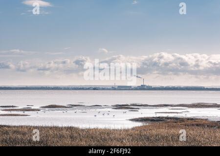 Pegwell Bay Nature Reserve, Cliffsend, Kent, Thanet, Großbritannien. Mit Blick auf den Kent Science Park ursprünglich Pfizer. Stockfoto