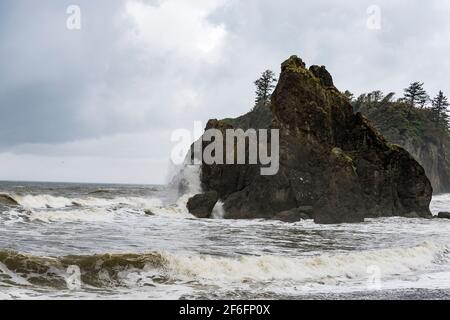 Das Meer stapelt sich am Ruby Beach, Olympic National Park, Washington Stockfoto