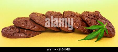 Haferflocken und grünes Blatt von Cannabis auf einem gelben Hintergrund. Marihuana Cookies Panorama. Stockfoto