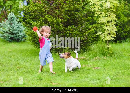 Kleines Mädchen, das barfuß auf dem grünen Rasen im Hinterhof läuft Und Kugelspielzeug zum Hund werfen Stockfoto