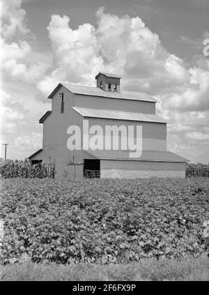 King and Anderson Plantation, Clarksdale, Mississippi Delta, Mississippi, USA, Marion Post Wolcott, U.S. Farm Security Administration, August 1940 Stockfoto