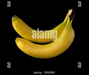 Bund von zwei reifen Bananen isoliert auf schwarzem Hintergrund Stockfoto
