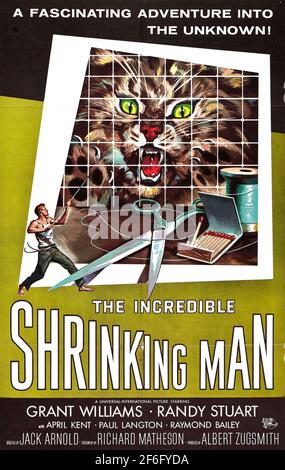 THE INCREDIBLE SHRINKING MAN 1957 Universal Pictures Film mit Grant Williams. Poster von Reynold Brown Stockfoto