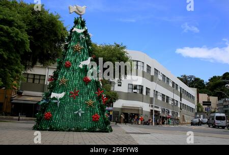 salvador, bahia, brasilien - 14. dezember 2020: Weihnachtsbaum aus dem Recycling von PET-Flaschen wird im Barra-Viertel in der Stadt Salvador gesehen. * Stockfoto