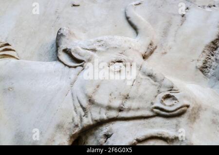 Marmorskulptur aus dem antiken Griechenland mit Basrelief und gehörntem Kuhkopf - Nahaufnahme mit altersgealterten Fehlern und natürlicher Körnigkeit des Marmors Stockfoto