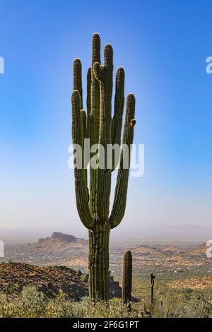 Der Mond steigt über den roten Felsen von Sedona Arizona gegen einen wunderschönen blauen Himmel. Stockfoto