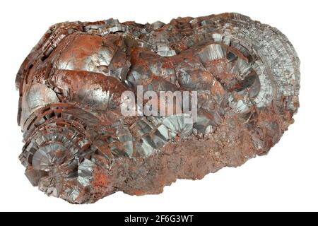 Hämatit (Niererz) aus der Florence Mine, Egremont, England isoliert auf weißem Hintergrund Stockfoto