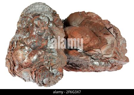 Hämatit (Niererz) aus der Florence Mine, Egremont, England isoliert auf weißem Hintergrund Stockfoto