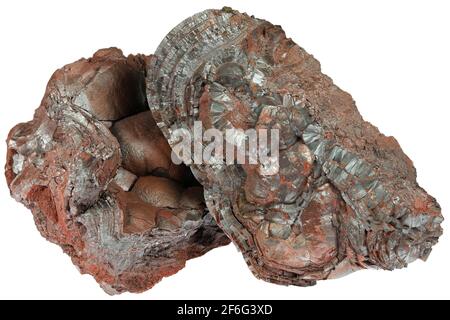 Hämatit (Niererz) aus der Florence Mine, Egremont, England isoliert auf weißem Hintergrund Stockfoto