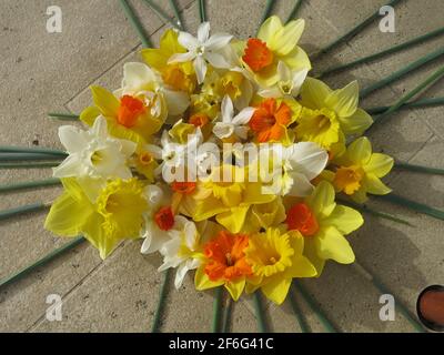Darstellung der Sonne in Blumen in einer Tischanordnung aus einer Vielzahl von leuchtend gelben und orangen Narzissen mit nach außen strahlenden Stielen. Stockfoto