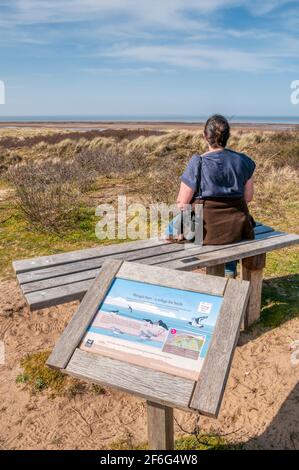 Eine Frau auf einem Sitz mit Blick auf das Meer im Holme Dunes Naturschutzgebiet an der Küste von North Norfolk. Stockfoto