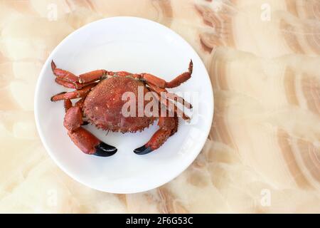 Eine ganze gekochte Krabbe auf einem weißen Teller, auf einem Onyxtisch, in weichem Licht. Konzept für mediterrane Küche, Ernährung, Keto, gesunde Ernährung. Draufsicht, Platz für Stockfoto