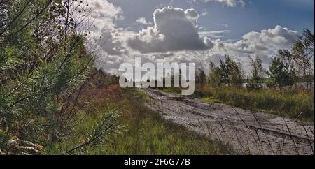 Moorlandschaft - Moorweg mit Reifenspuren - Kumuluswolke Stockfoto