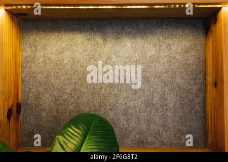 Leeres Bücherregal Aus Holz Mit Grauem Hintergrund, Wand. Hintergrundbeleuchtung für Aufsehen. Platz für Einfügen oder Logo Stockfoto