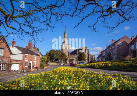 ST Mary's Church in Astbury in der Nähe von Congleton Cheshire England mit dem Dorf grün und daffodil's in Blume im Frühling mit blauem Himmel Stockfoto