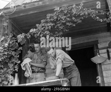 Oregon. Unabhängigkeit, Polk County. Hop Farmer's Sons, Waschen für Mittag-Essen auf der hinteren Veranda. Sie beaufsichtigen die Wanderarbeitnehmer im Feld und neigen zur Wiegung von Hopfen. 1939. Foto von Dorothea lange. Stockfoto