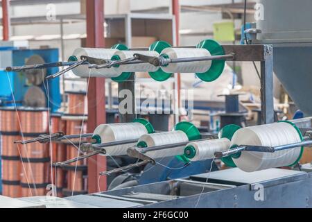 Garnspulen im Inneren der Pflanze. Stockfoto