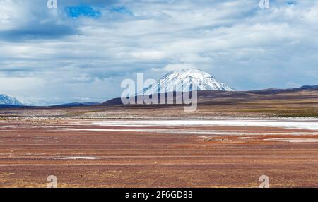 Misti Vulkan mit Schnee und altiplano, Salinas y Aguada Blanca National Reserve, Provinz Arequipa, Peru. Stockfoto