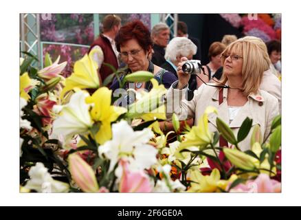 Die Öffentlichkeit genießt einen weiteren schönen Wettertag und schöne Blumen Bei der Chelsea Flower Show 2008 in LondonFoto von David Sandison The Independent Stockfoto