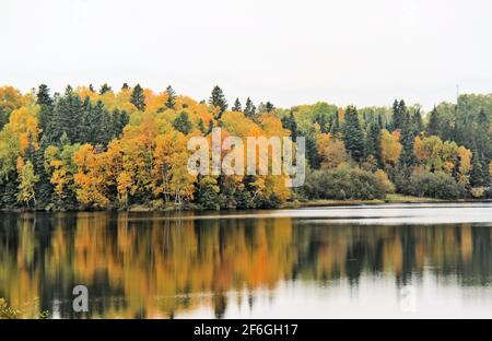 Wunderschöne, herbstfarbene Wälder am Boulevard Lake, da der See an einem teilweise sonnigen Tag die bunten Bäume widerspiegelt. Stockfoto