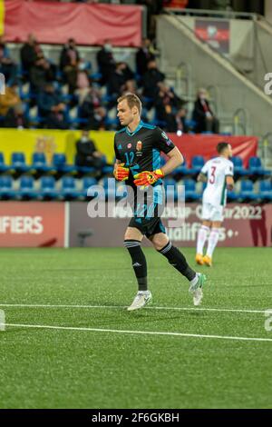 Andorra La Vella, Andorra : 2021. März 31 : P. Gulácsi HUN im Qualifikationsspiel der Qatar Weltmeisterschaft 2022. Stockfoto