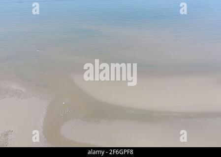 Luftbild von Drohne von schönem Sandstrand mit Möwe Stockfoto