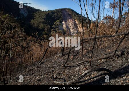 Doppelte Entwaldung - im Vordergrund die Landwirtschaft mit Brandrodung, eine Anbaumethode, bei der Pflanzen in einem Wald geschnitten und verbrannt werden, sowie Erdrutsch durch Regen und Erosion im Hintergrund. Nova Friburgo, Bundesstaat Rio de Janeiro, Brasilien. Stockfoto