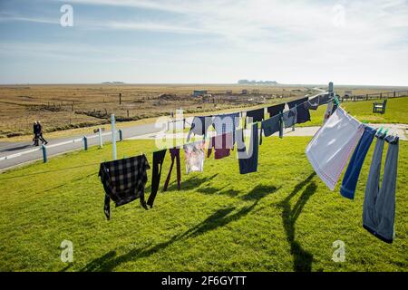 Hooge, Deutschland. März 2021. Saubere Wäsche hängt zum Trocknen an einer Wäscheleine auf einem Wohnhügel auf Hallig Hooge in der Sonne. (To dpa 'Hooge's Hallig doctor in den Ruhestand gehen') Quelle: Gregor Fischer/dpa/Alamy Live News Stockfoto