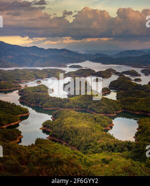 Tolle Aussicht auf den Ta Dung See. Vietnam. Landschaft Stockfoto