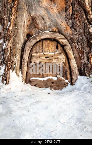 Die Holztür des Hauses der Zwerge in der Kiefer. Stockfoto