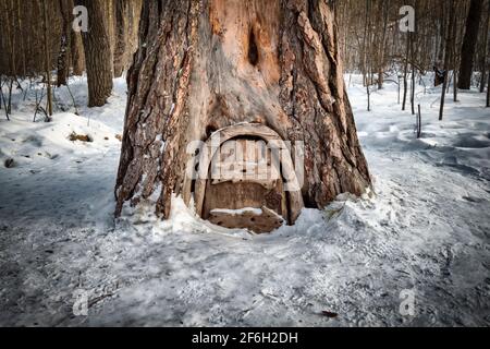 Die Holztür des Hauses der Zwerge in der Kiefer. Stockfoto