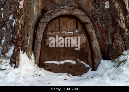 Die Holztür des Hauses der Zwerge in der Kiefer. Stockfoto